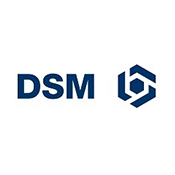DSM150x150