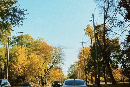 Herfst en verkeer